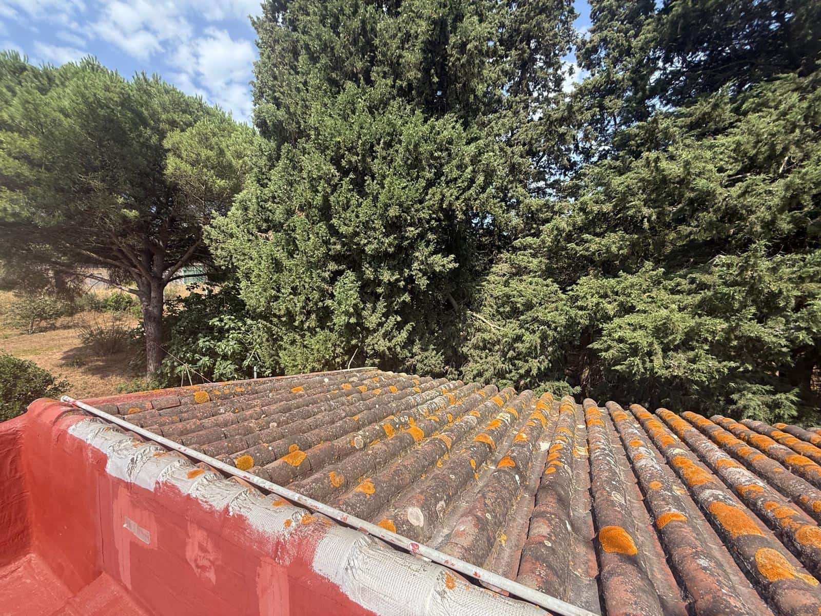 2 camera da letto Finca/Casa di Campagna in vendita in Vejer de la Frontera - 500.000 € (Rif: 9068745)