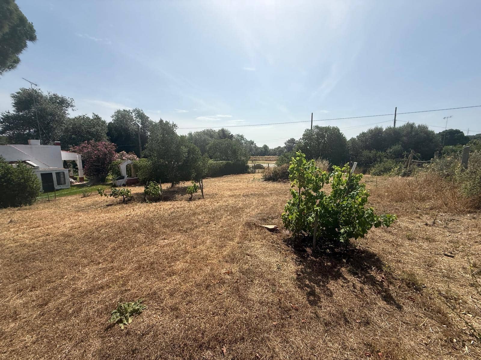 2 camera da letto Finca/Casa di Campagna in vendita in Vejer de la Frontera - 500.000 € (Rif: 9068745)