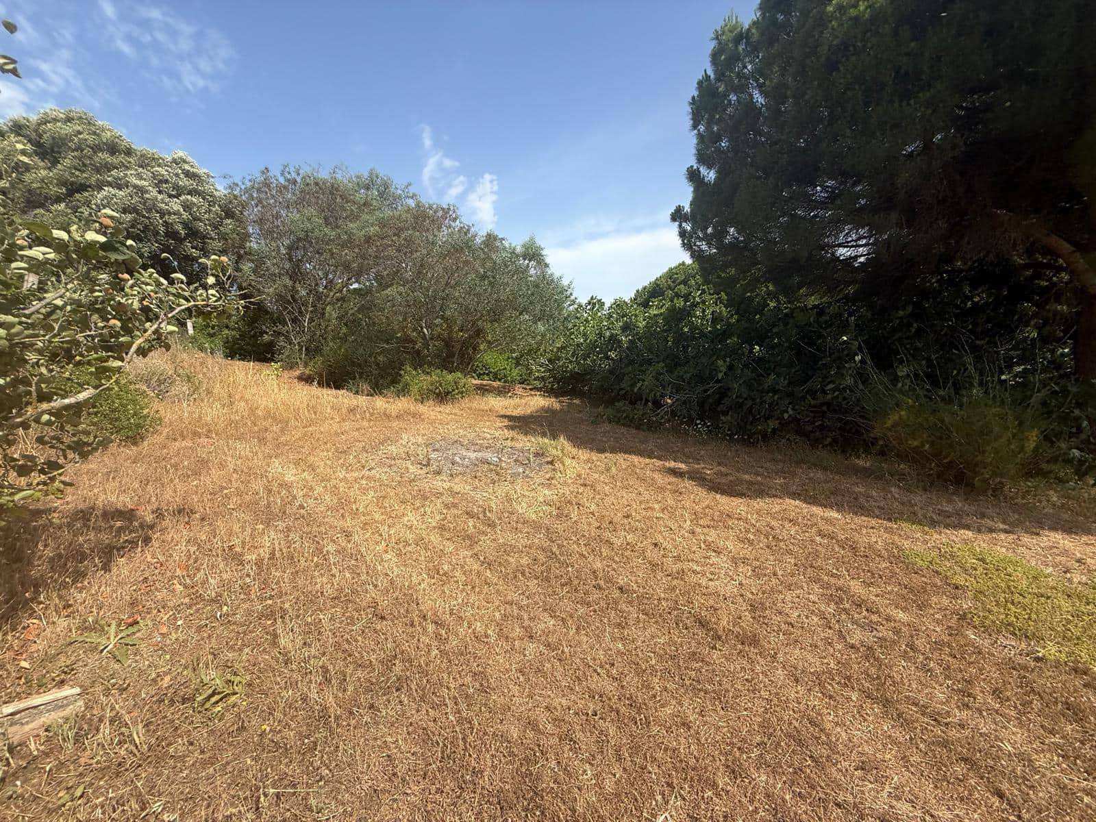 2 camera da letto Finca/Casa di Campagna in vendita in Vejer de la Frontera - 500.000 € (Rif: 9068745)