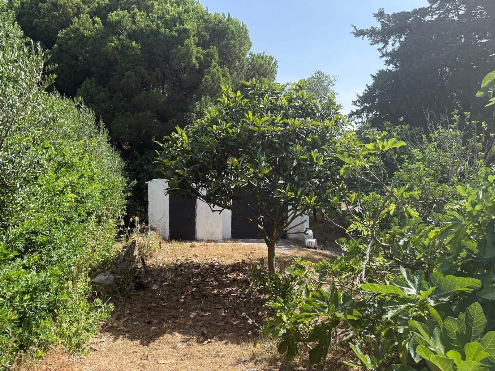 2 camera da letto Finca/Casa di Campagna in vendita in Vejer de la Frontera - 500.000 € (Rif: 9068745)