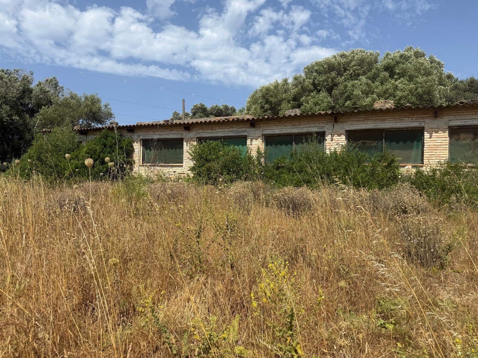 2 camera da letto Finca/Casa di Campagna in vendita in Vejer de la Frontera - 500.000 € (Rif: 9068745)