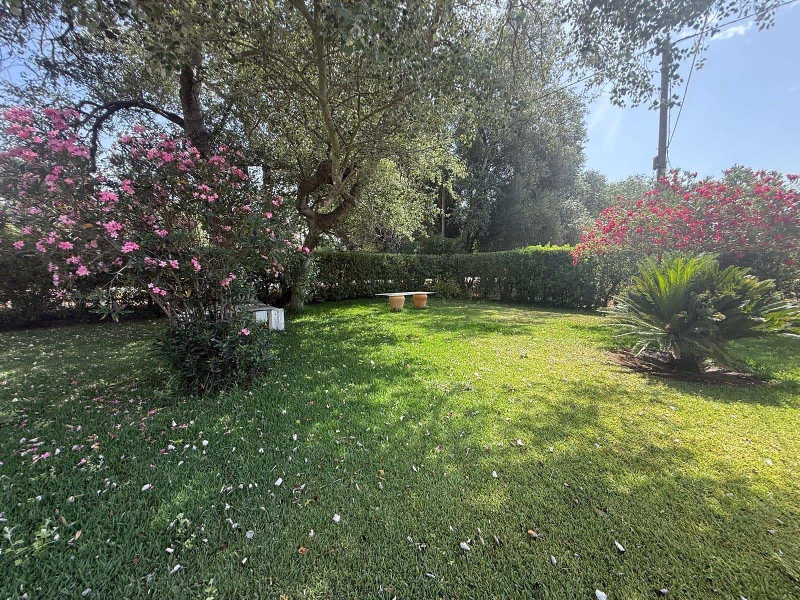 2 camera da letto Finca/Casa di Campagna in vendita in Vejer de la Frontera - 500.000 € (Rif: 9068745)