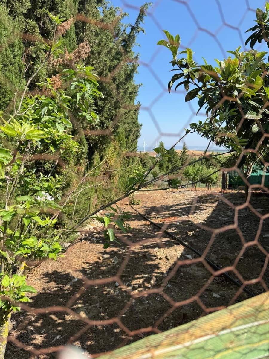 Finca/Casa Rural de 3 habitaciones en Vejer de la Frontera en venta - 195.000 € (Ref: 9073265)