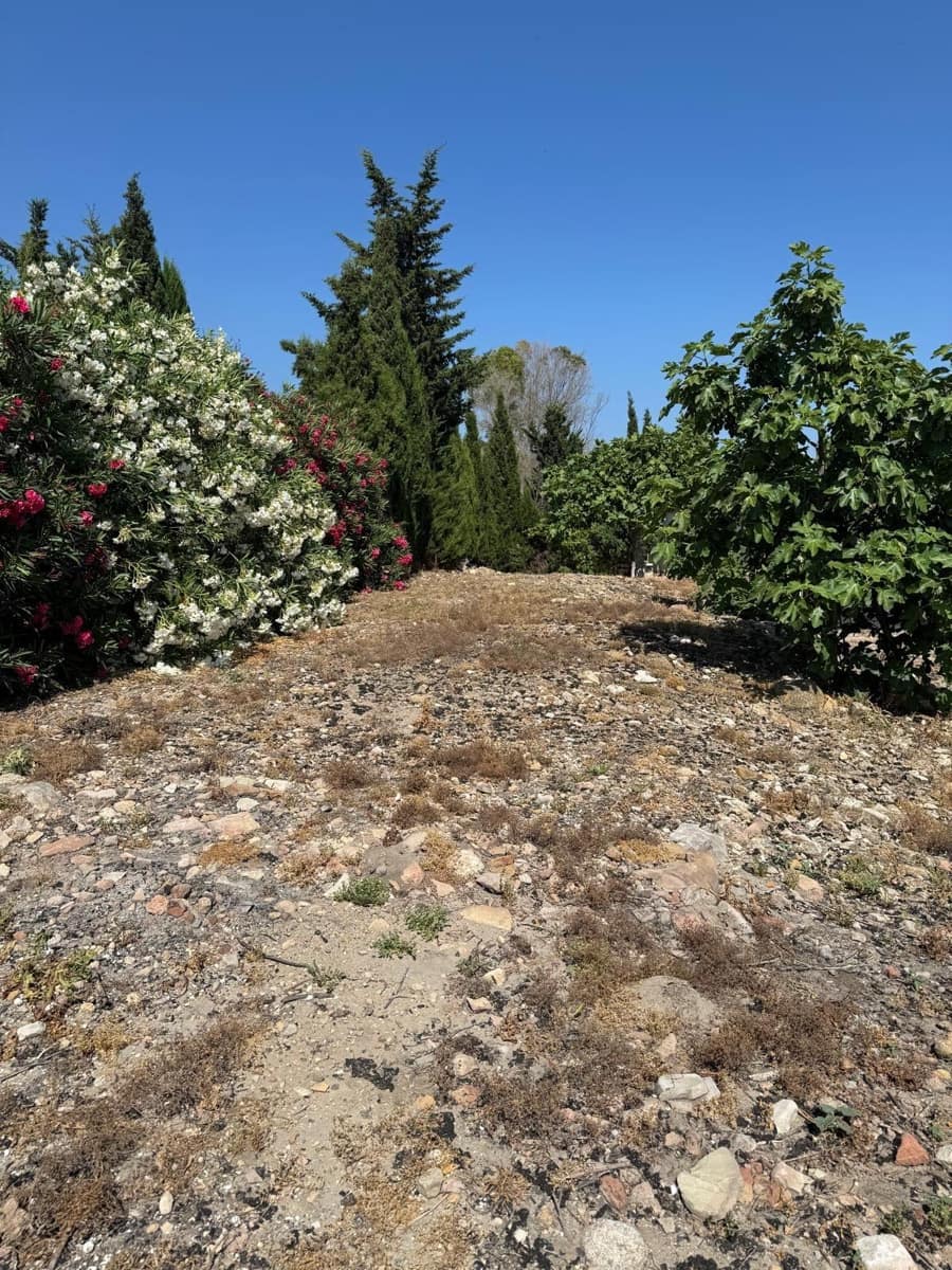 Finca/Casa Rural de 3 habitaciones en Vejer de la Frontera en venta - 195.000 € (Ref: 9073265)