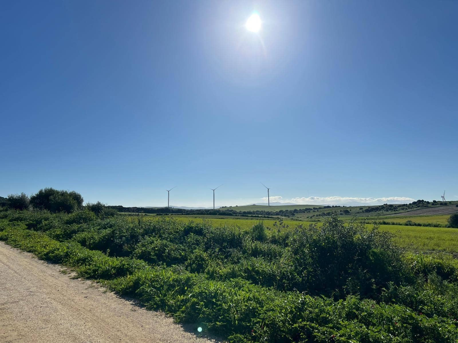 Finca/Casa Rural de 3 habitaciones en Vejer de la Frontera en venta - 195.000 € (Ref: 9073265)