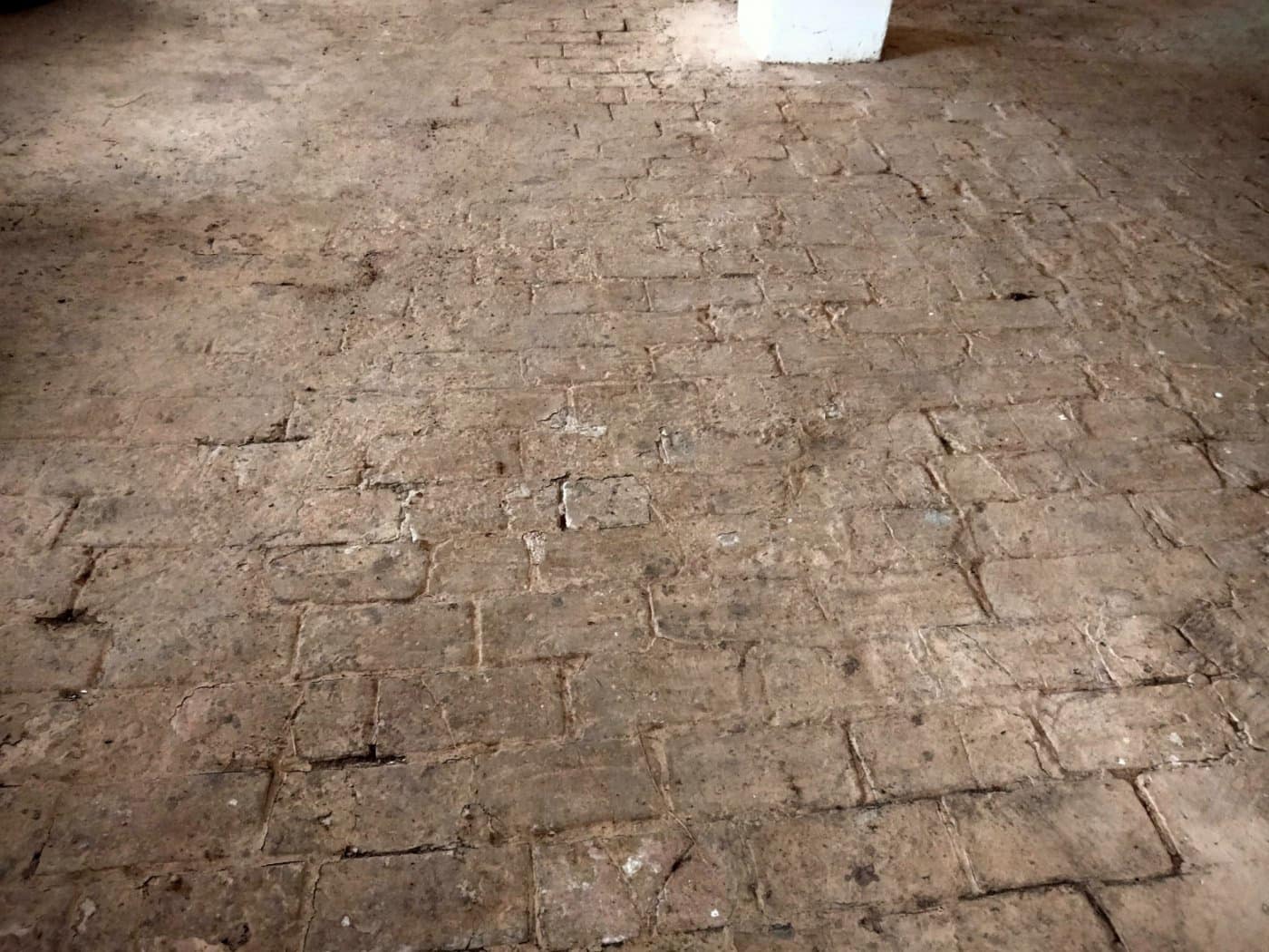 Erhverv til salg i Medina-Sidonia - € 350.000 (Ref: 9095155)