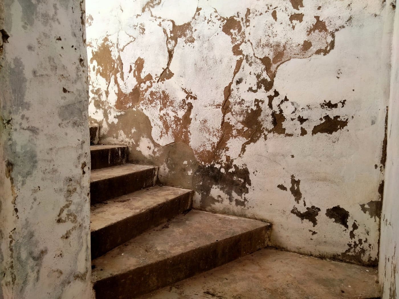 Erhverv til salg i Medina-Sidonia - € 350.000 (Ref: 9095155)