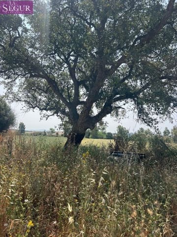 Bouwgrond te koop in Vejer de la Frontera - € 250.000 (Ref: 9107119)