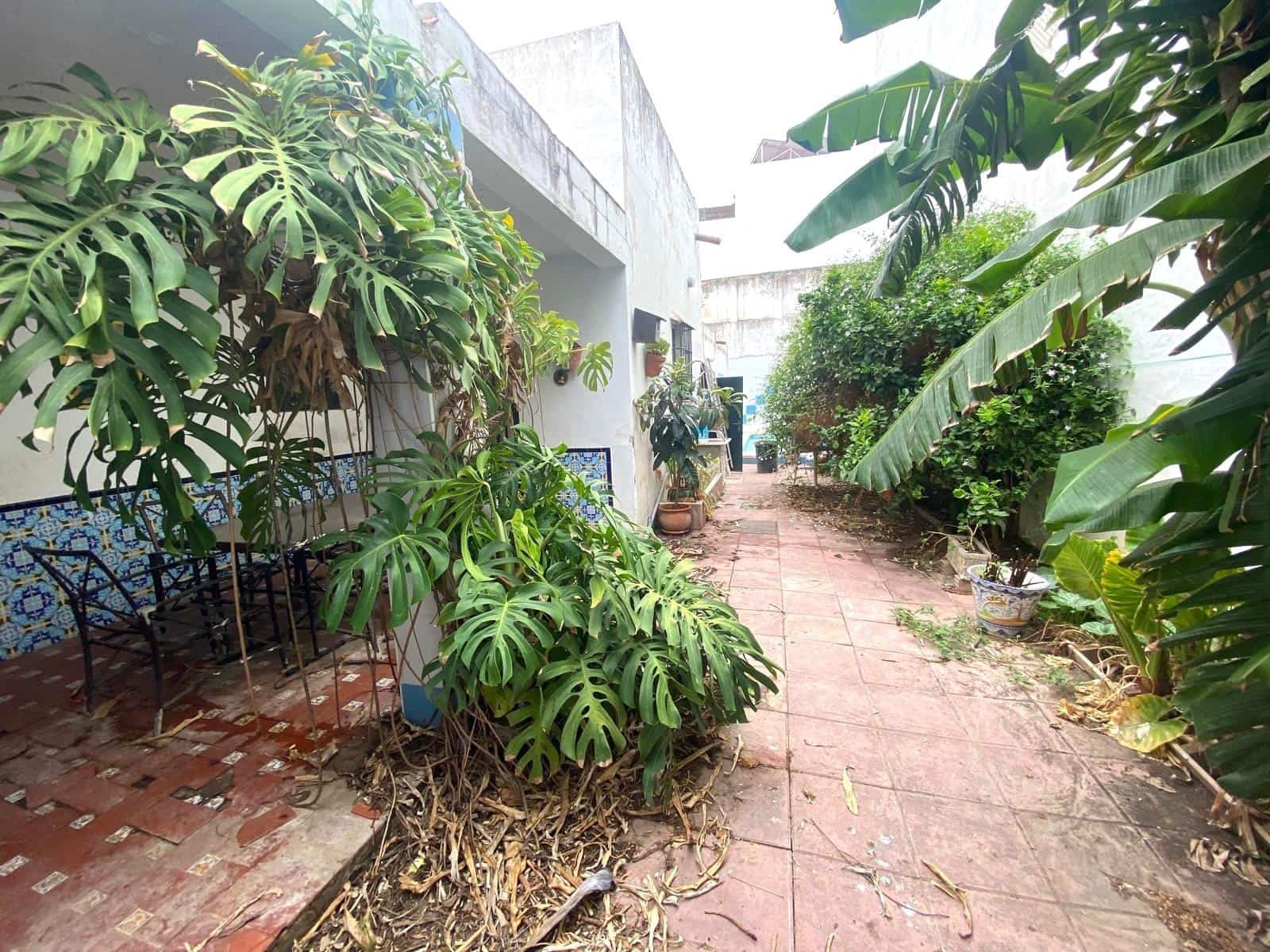 2 quarto Moradia para venda em Barbate com piscina - 667 000 € (Ref: 9136987)