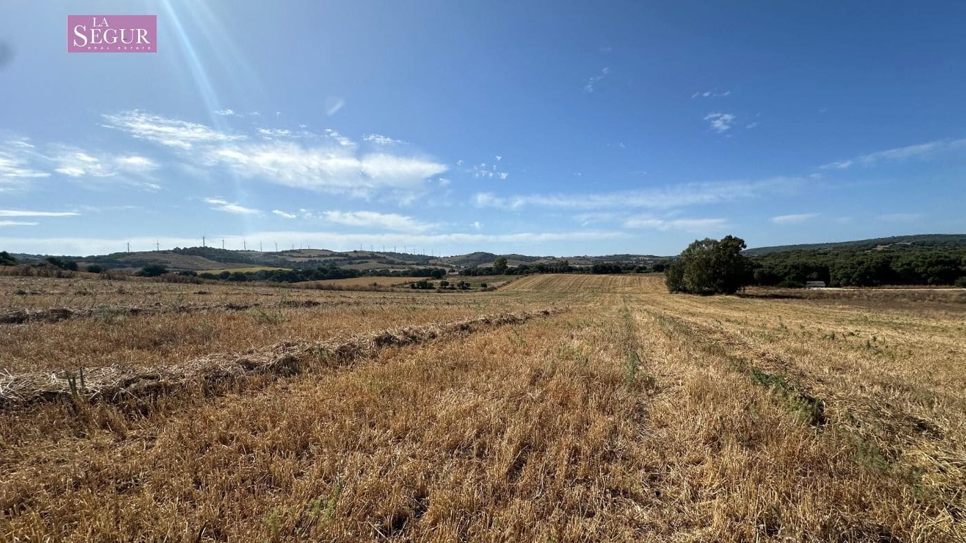 Grond te koop in Vejer de la Frontera - € 190.000 (Ref: 9142791)