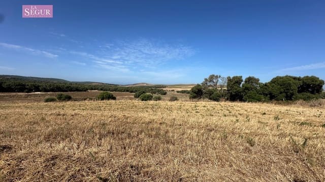 Rakentamaton maa myytävänä paikassa Vejer de la Frontera - 190 000 € (Ref: 9142791)