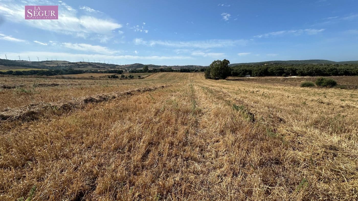 Grond te koop in Vejer de la Frontera - € 190.000 (Ref: 9142791)