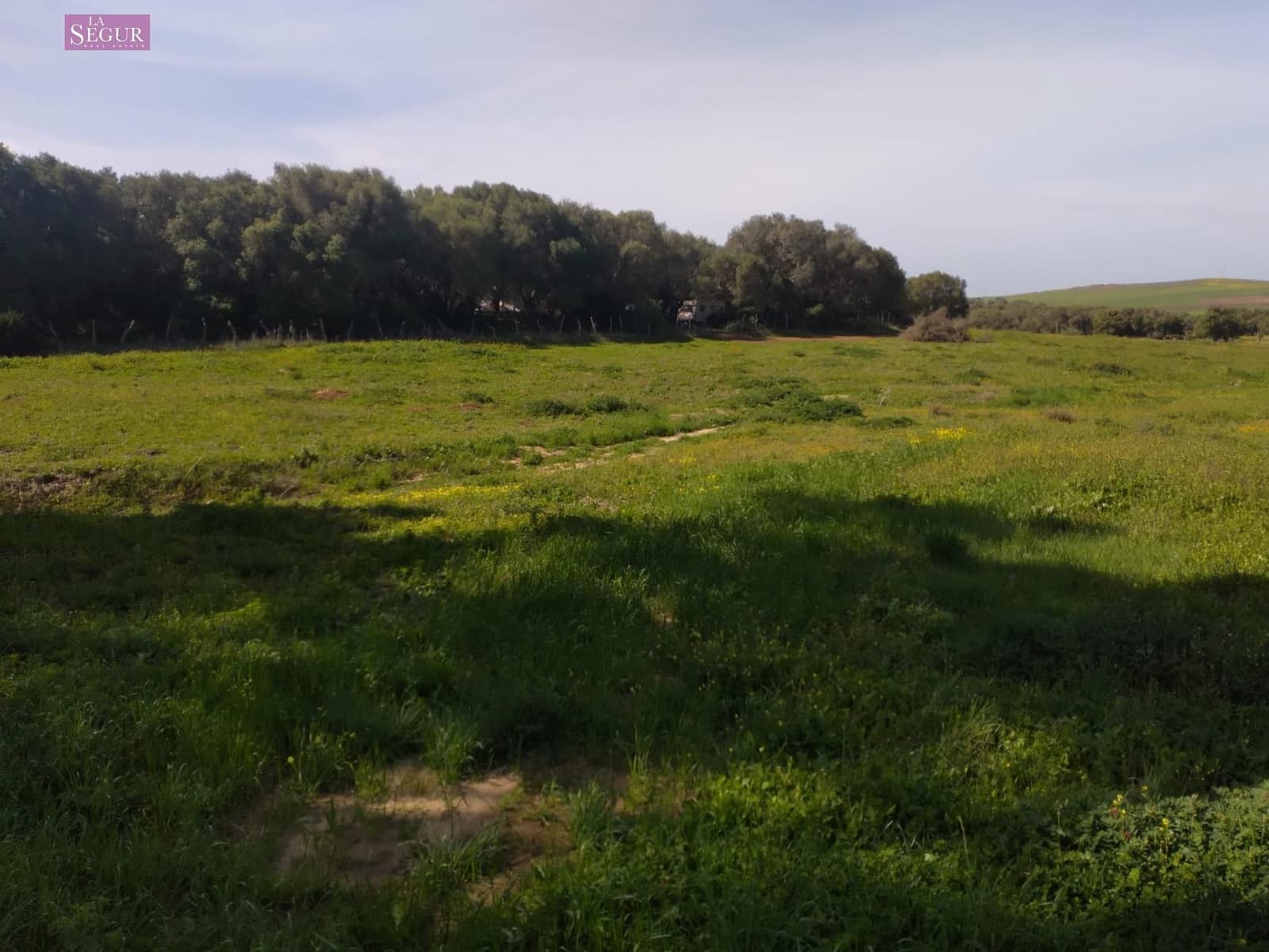 Grond te koop in Vejer de la Frontera - € 190.000 (Ref: 9142791)