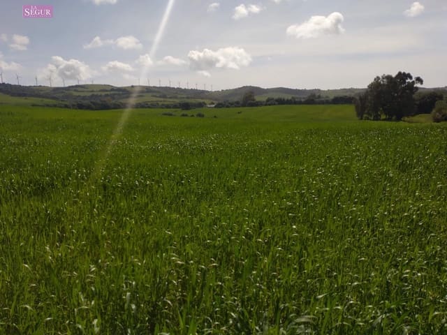 Grunde uden byggetilladelser til salg i Vejer de la Frontera - € 190.000 (Ref: 9142791)