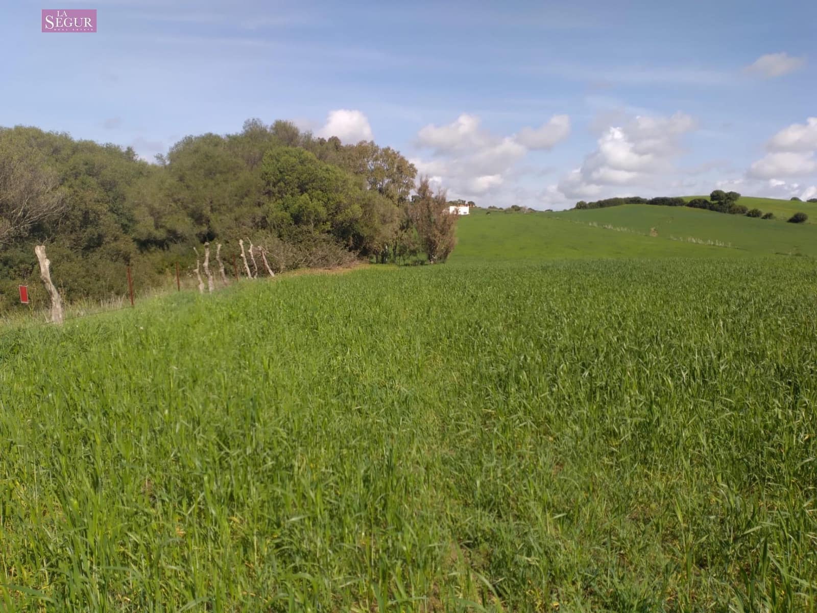 Grond te koop in Vejer de la Frontera - € 190.000 (Ref: 9142791)