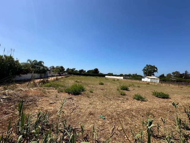 Ubebygd land til salgs i Conil de la Frontera - € 415 000 (Ref: 9149160)