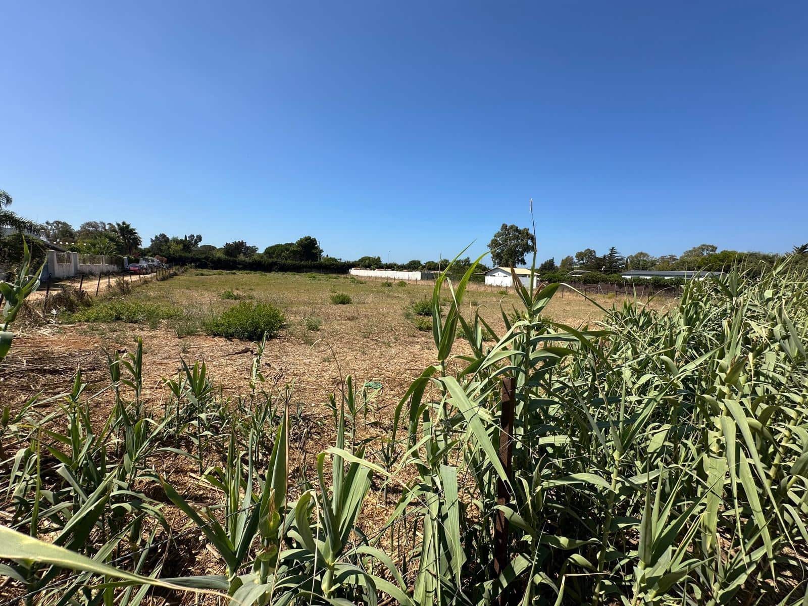 Grunde uden byggetilladelser til salg i Conil de la Frontera - € 415.000 (Ref: 9149160)