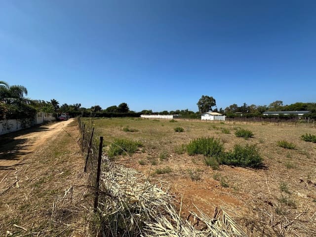 Ubebygd land til salgs i Conil de la Frontera - € 415 000 (Ref: 9149160)