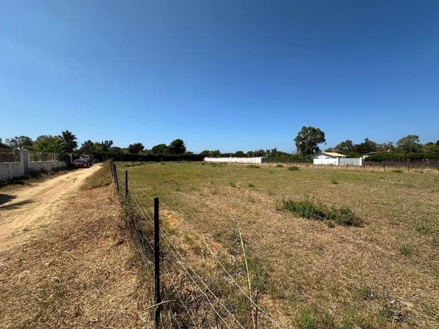 Ubebygd land til salgs i Conil de la Frontera - € 415 000 (Ref: 9149160)