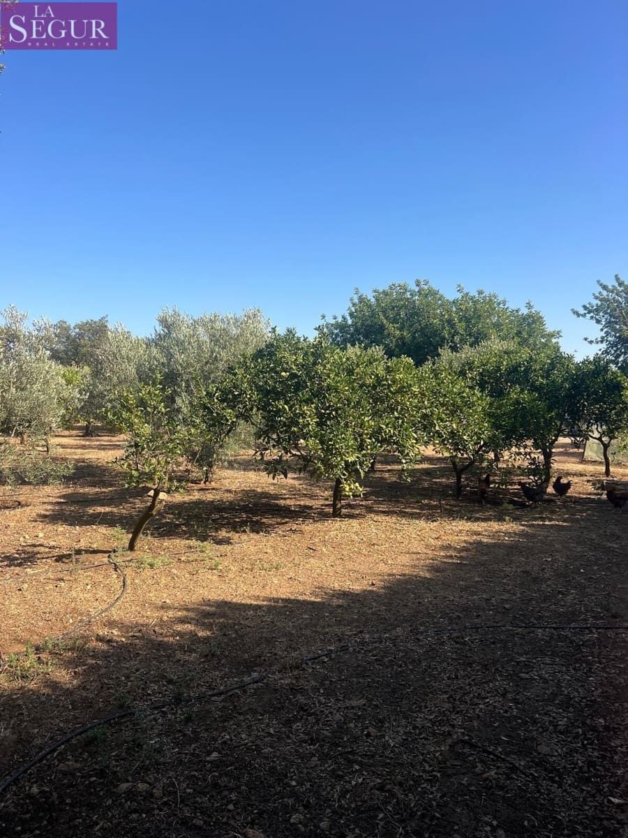 3 soveværelse Finca/Landehus til salg i Vejer de la Frontera - € 270.000 (Ref: 9156071)