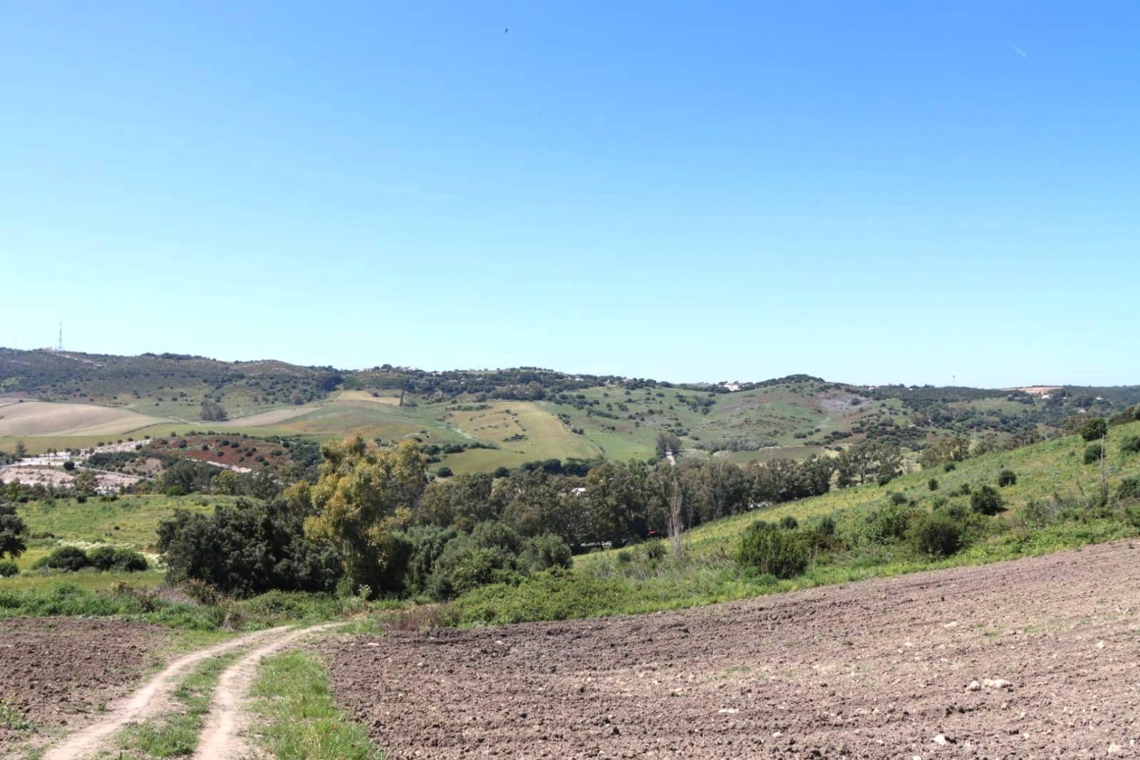 Mark till salu i Vejer de la Frontera - 92 000 € (Ref: 9159354)