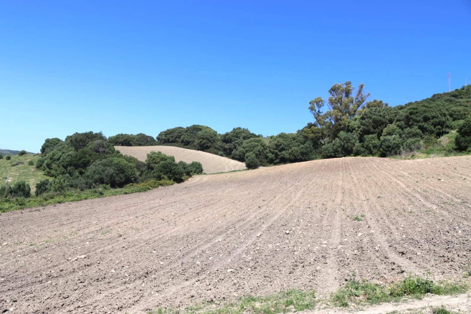 Mark till salu i Vejer de la Frontera - 92 000 € (Ref: 9159354)