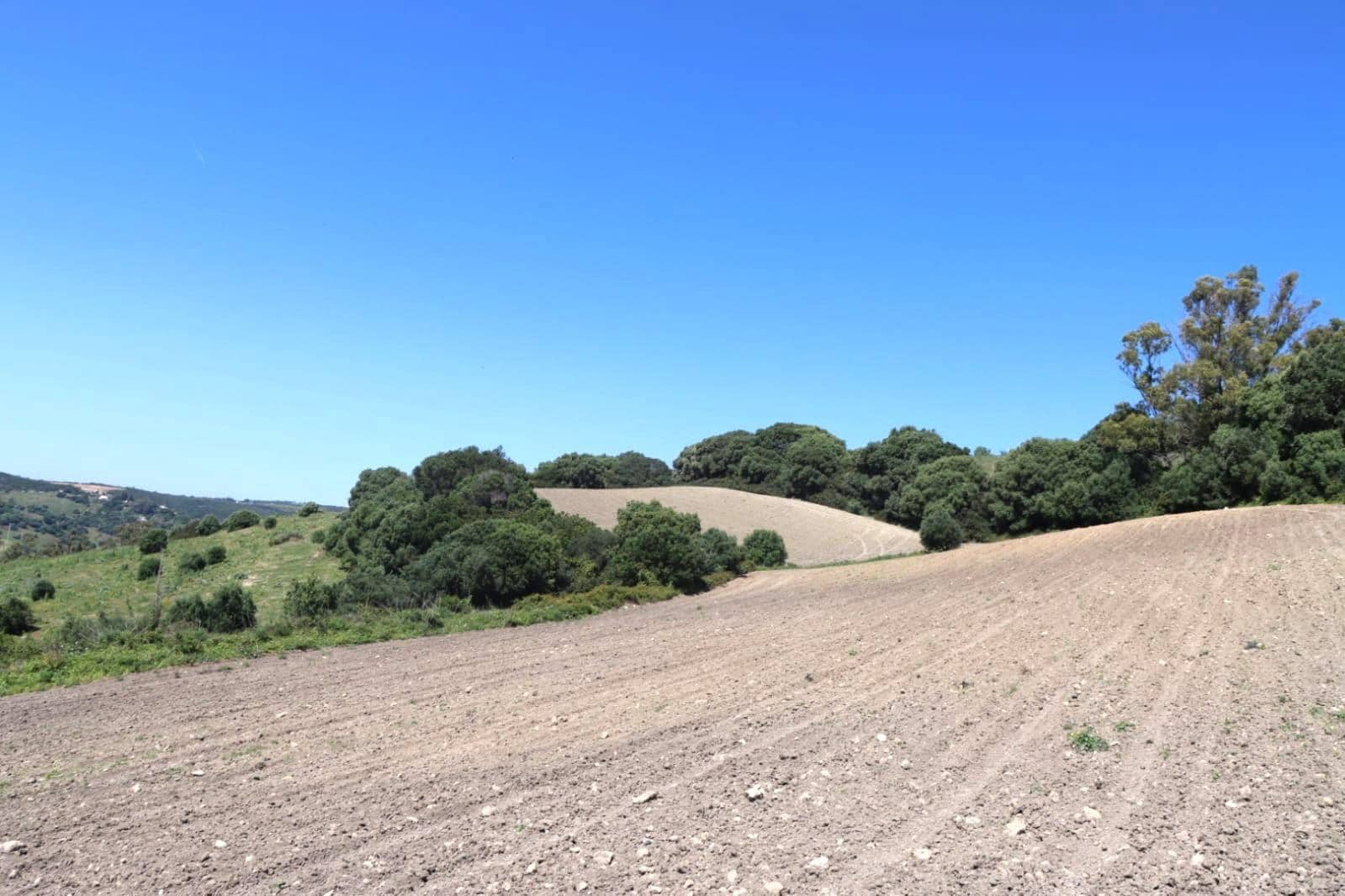 Mark till salu i Vejer de la Frontera - 92 000 € (Ref: 9159354)