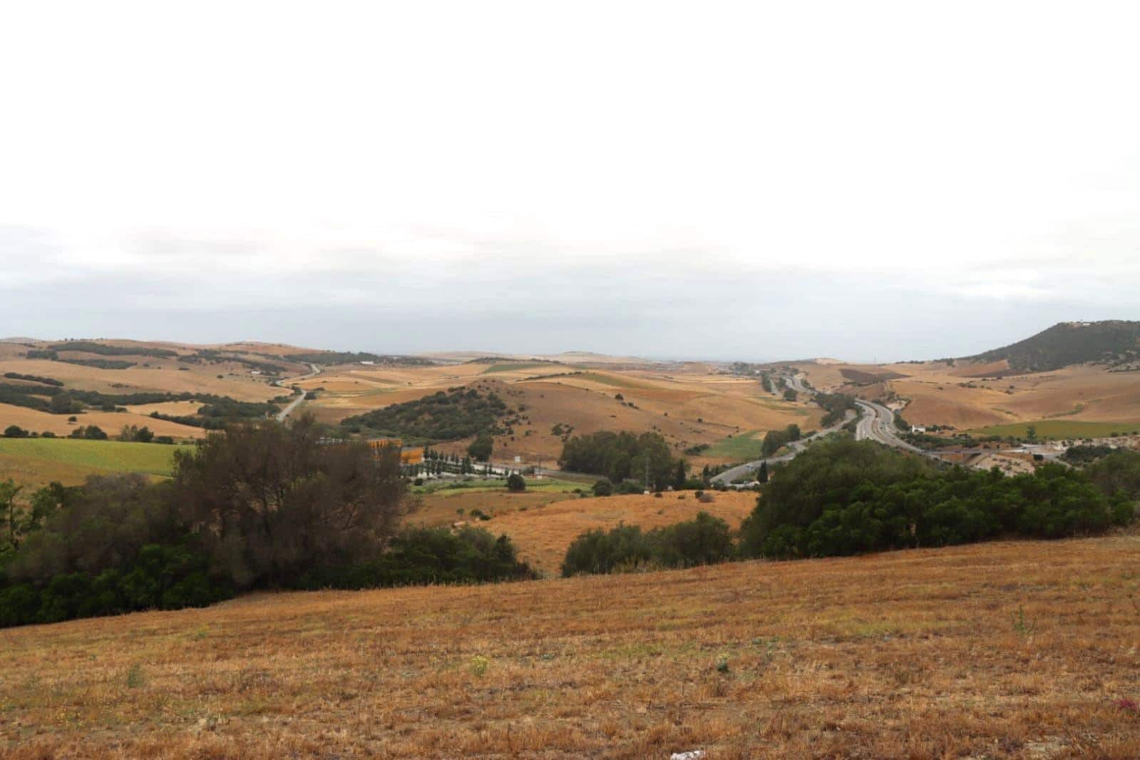 Mark till salu i Vejer de la Frontera - 92 000 € (Ref: 9159354)