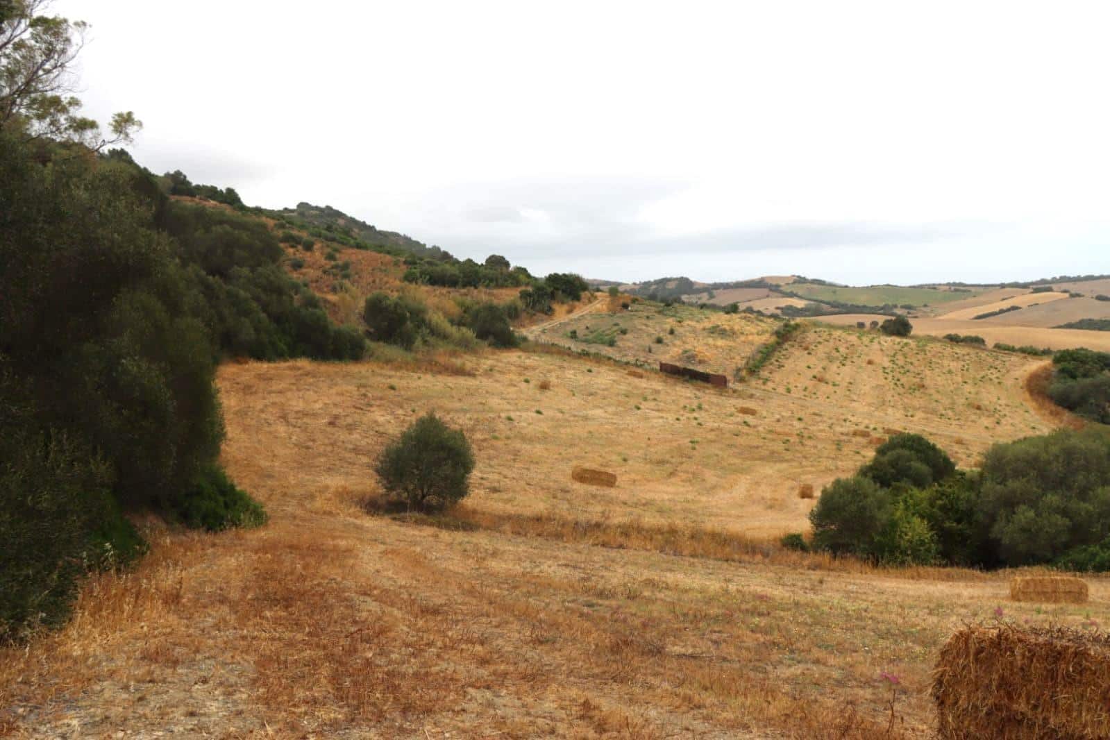 Mark till salu i Vejer de la Frontera - 92 000 € (Ref: 9159354)