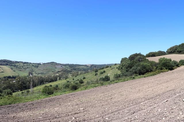 Grunde uden byggetilladelser til salg i Vejer de la Frontera - € 92.000 (Ref: 9159354)