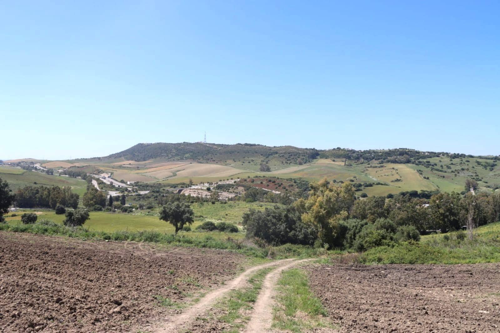 Mark till salu i Vejer de la Frontera - 92 000 € (Ref: 9159354)