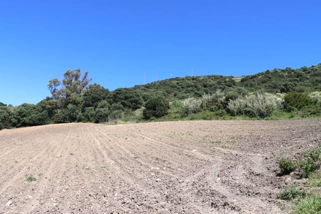Grunde uden byggetilladelser til salg i Vejer de la Frontera - € 92.000 (Ref: 9159354)