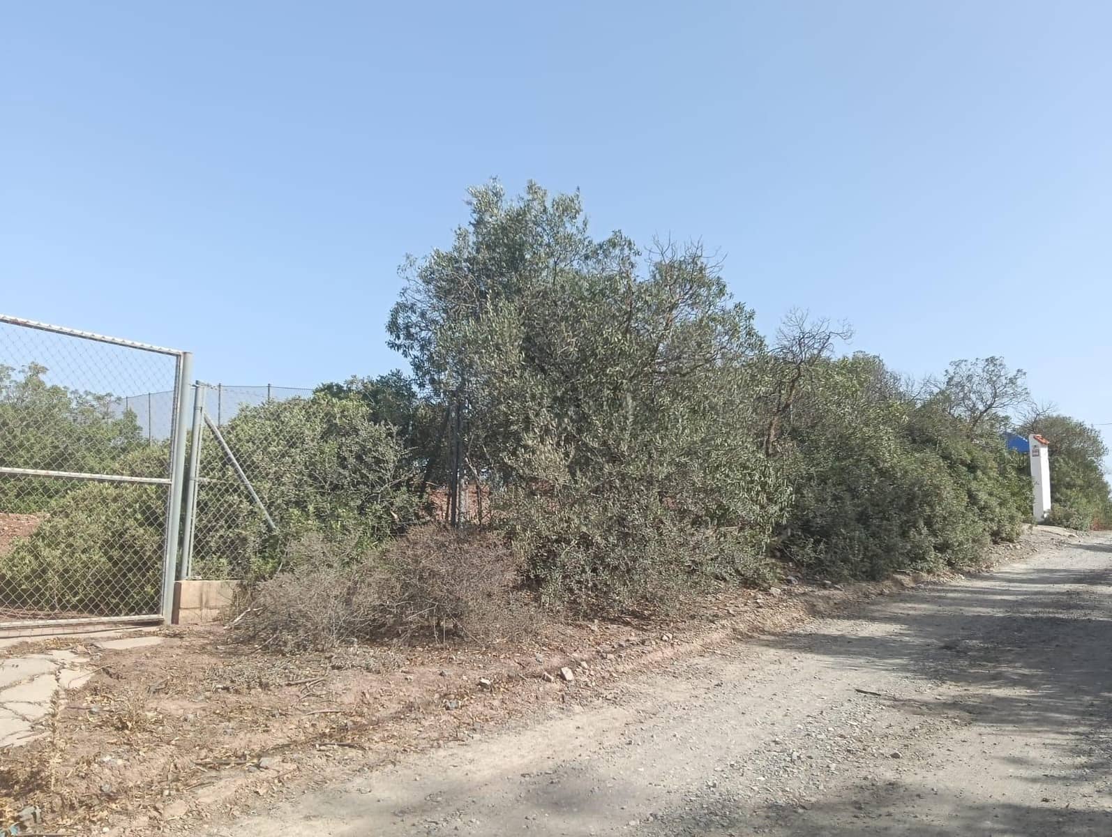 Bauplatz zu verkaufen in Medina-Sidonia - 42.900 € (Ref: 9228805)