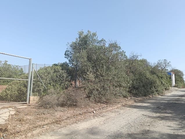 Bauplatz zu verkaufen in Medina-Sidonia - 42.900 € (Ref: 9228805)