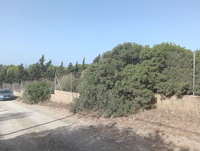 Bauplatz zu verkaufen in Medina-Sidonia - 42.900 € (Ref: 9228805)
