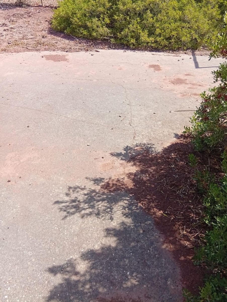 Bauplatz zu verkaufen in Medina-Sidonia - 42.900 € (Ref: 9228805)