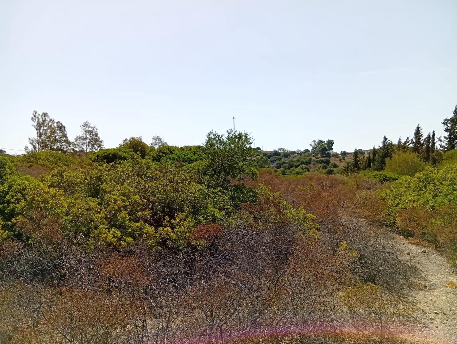 Bauplatz zu verkaufen in Medina-Sidonia - 42.900 € (Ref: 9228805)