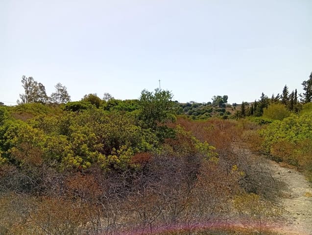 Bauplatz zu verkaufen in Medina-Sidonia - 42.900 € (Ref: 9228805)