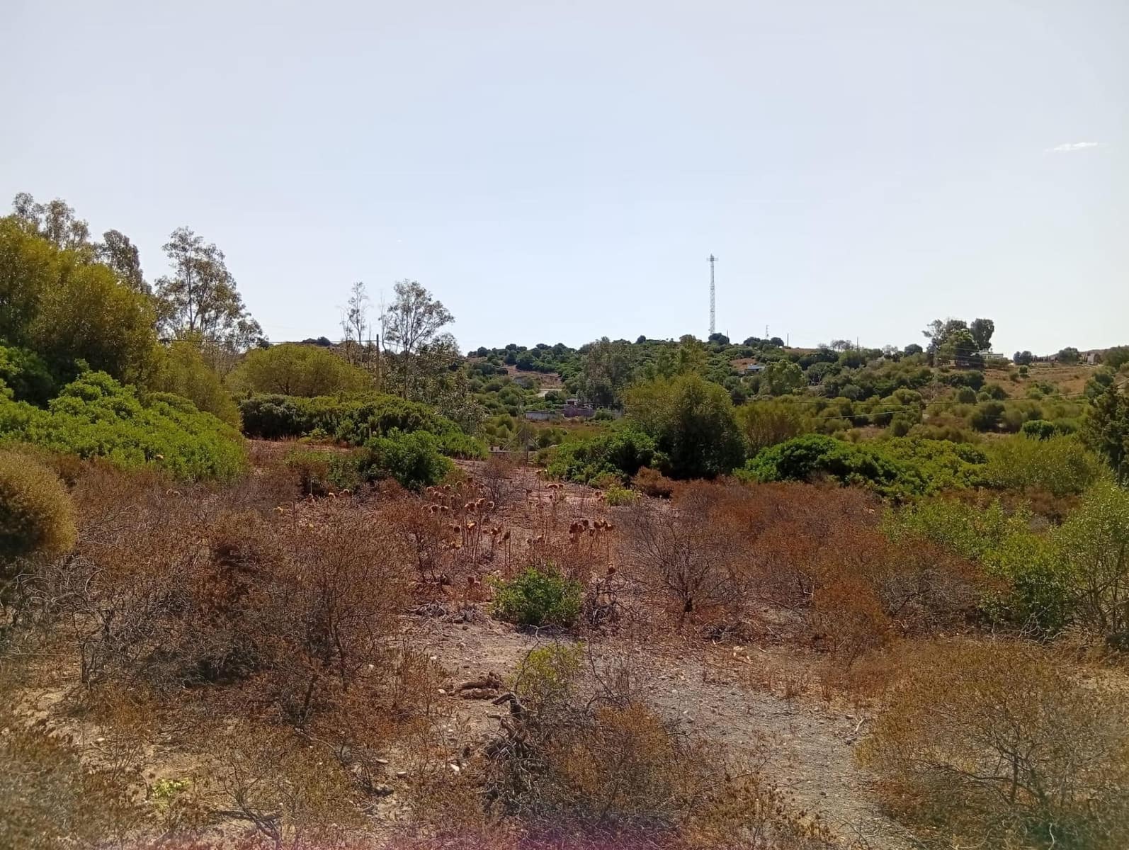 Bauplatz zu verkaufen in Medina-Sidonia - 42.900 € (Ref: 9228805)