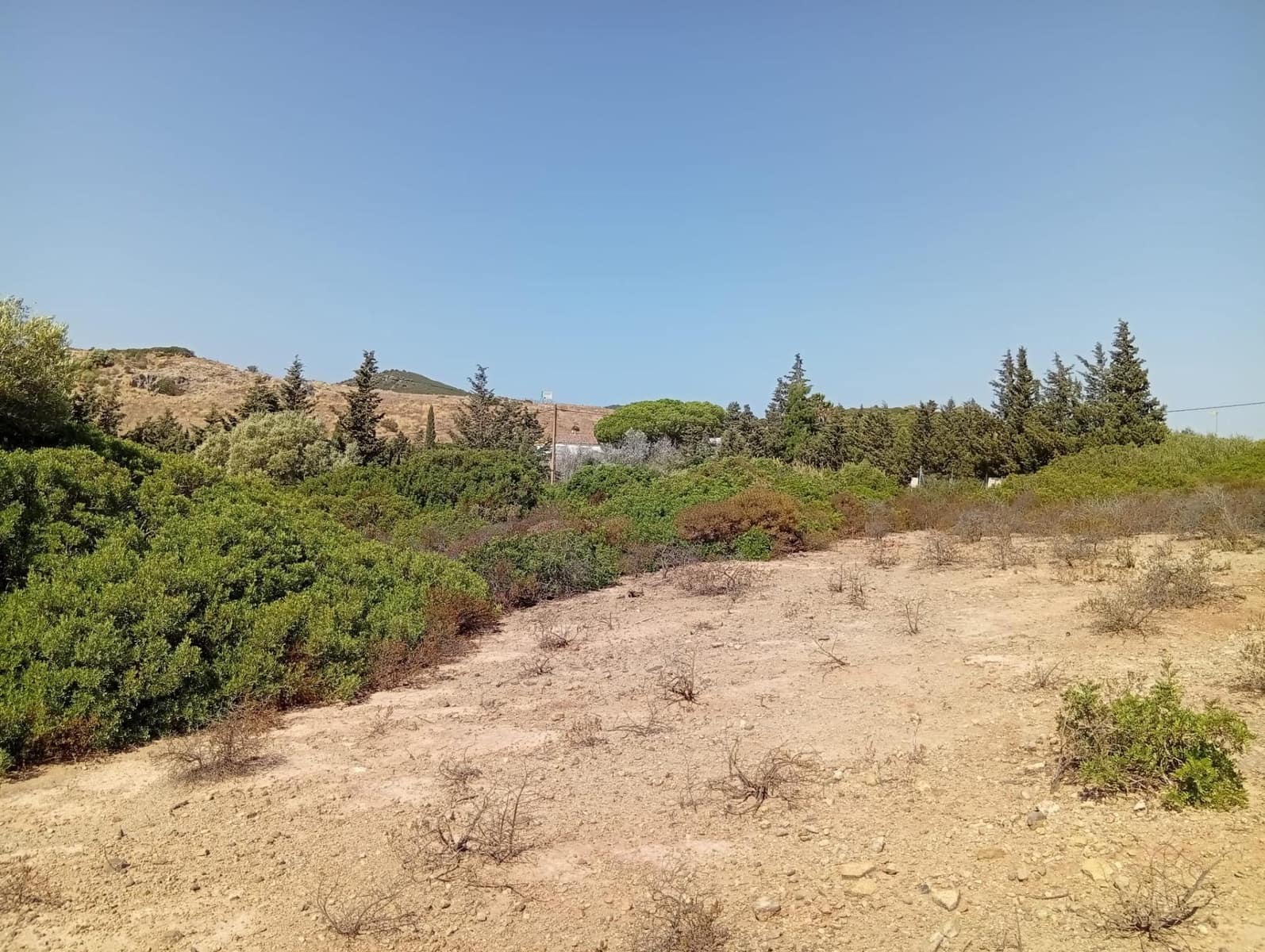 Bauplatz zu verkaufen in Medina-Sidonia - 42.900 € (Ref: 9228805)