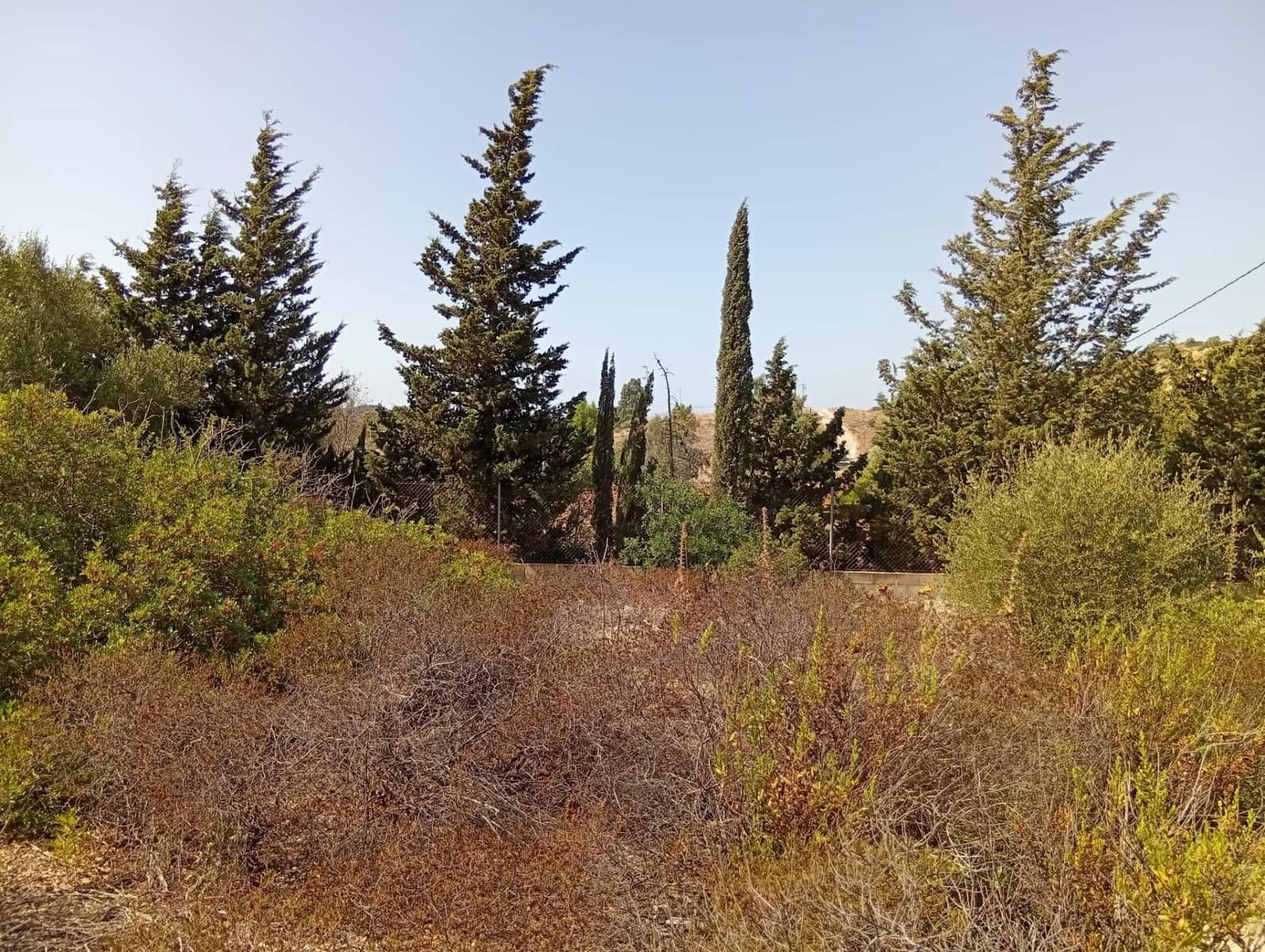 Bauplatz zu verkaufen in Medina-Sidonia - 42.900 € (Ref: 9228805)