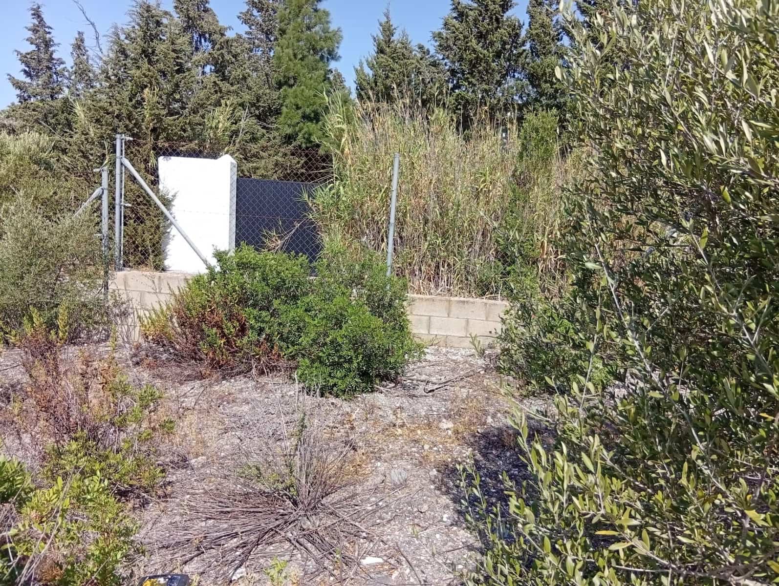 Bauplatz zu verkaufen in Medina-Sidonia - 42.900 € (Ref: 9228805)