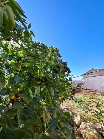 Bauplatz zu verkaufen in Medina-Sidonia - 58.500 € (Ref: 9232829)