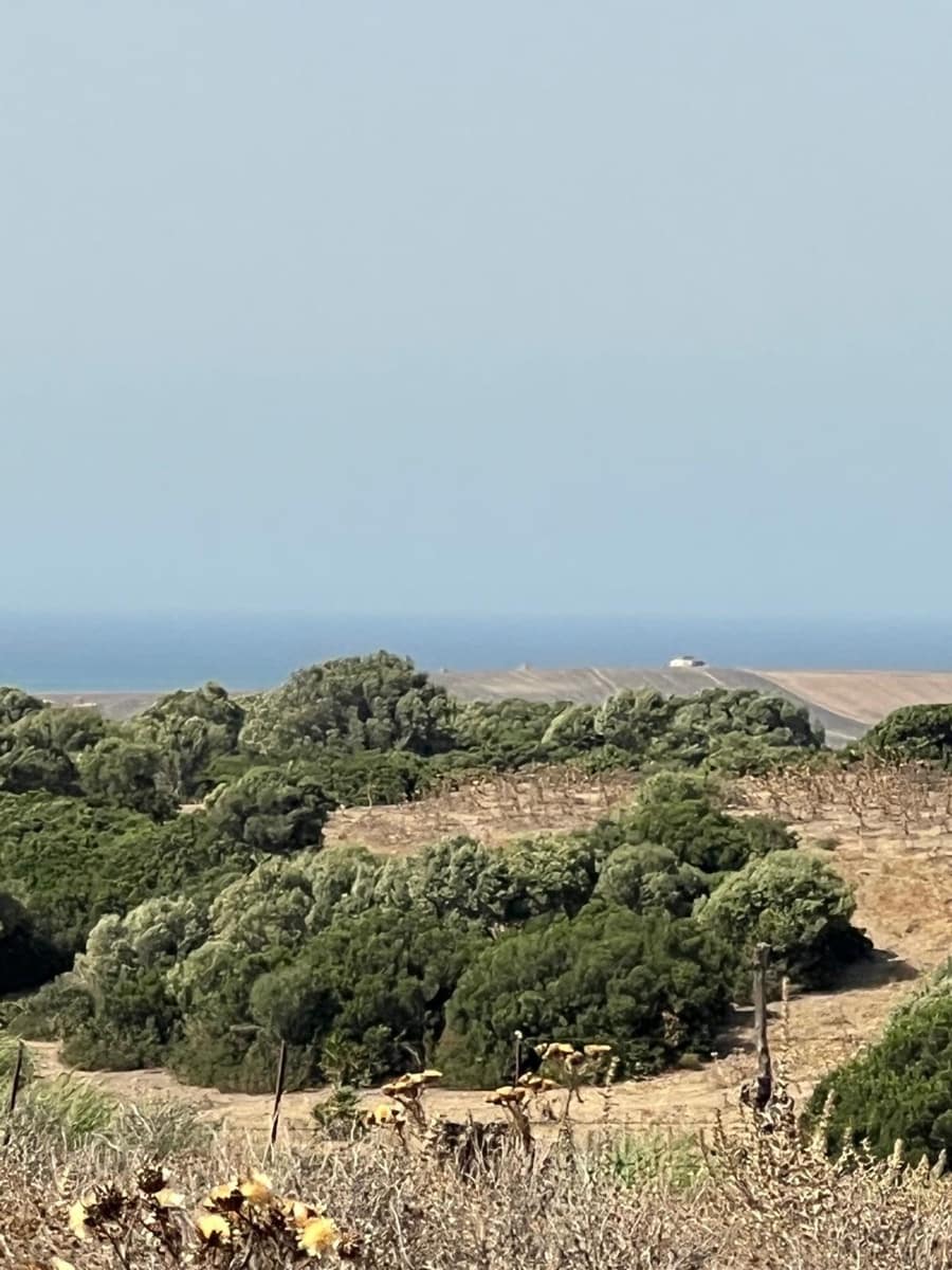 Byggegrund til salg i Vejer de la Frontera - € 87.500 (Ref: 9248158)