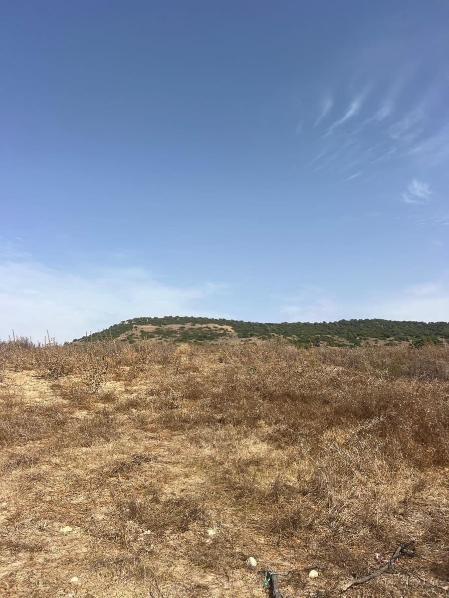 Byggegrund til salg i Vejer de la Frontera - € 87.500 (Ref: 9248158)