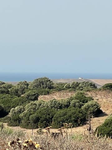 Bouwgrond te koop in Vejer de la Frontera - € 87.500 (Ref: 9248158)