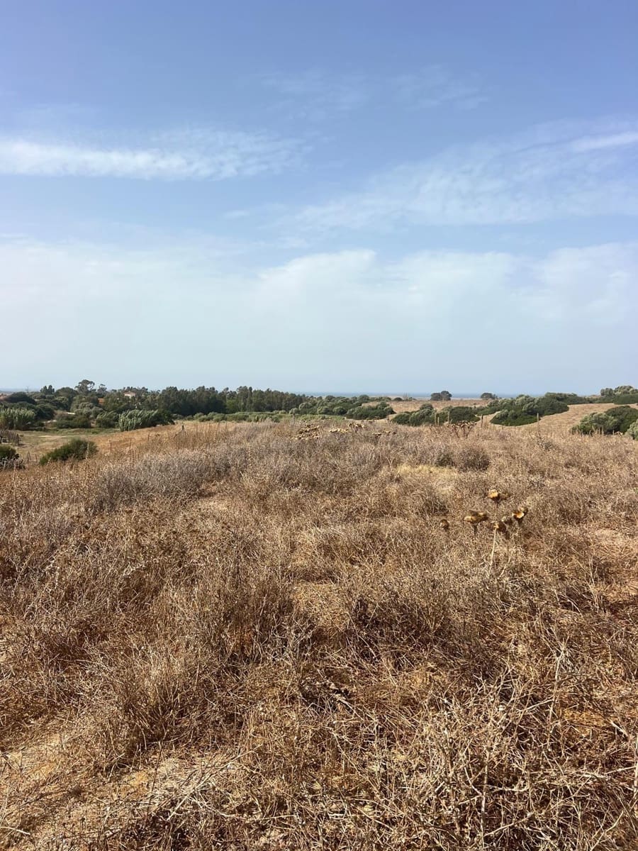 Byggegrund til salg i Vejer de la Frontera - € 87.500 (Ref: 9248158)