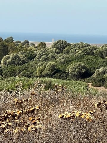 Bouwgrond te koop in Vejer de la Frontera - € 87.500 (Ref: 9248158)