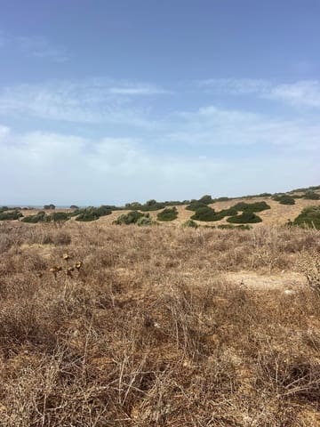 Bouwgrond te koop in Vejer de la Frontera - € 87.500 (Ref: 9248158)