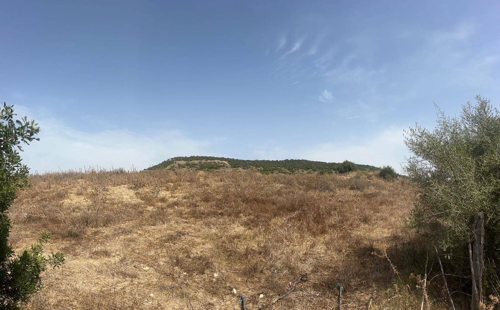 Byggegrund til salg i Vejer de la Frontera - € 87.500 (Ref: 9248158)